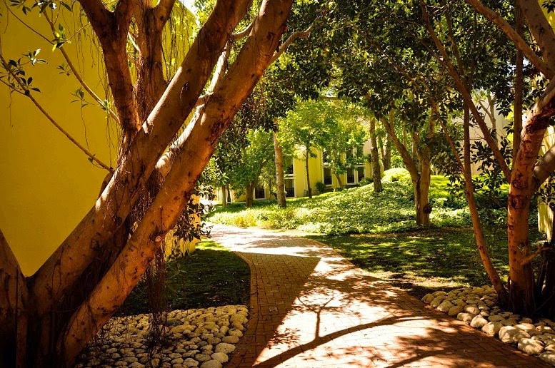 imagini hotel CLUB ASTERIA BELEK